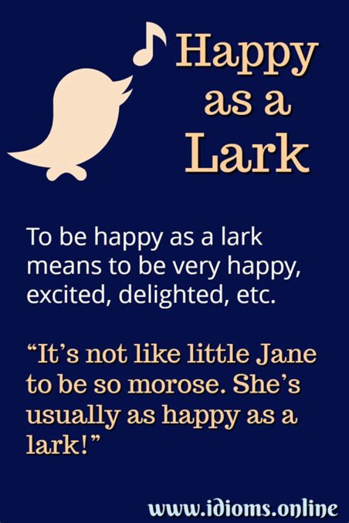 What does happy as a lark mean?