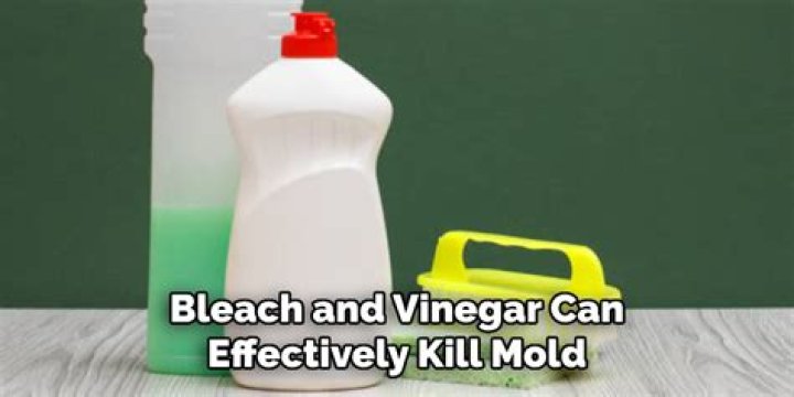 What kills mold better bleach or vinegar?